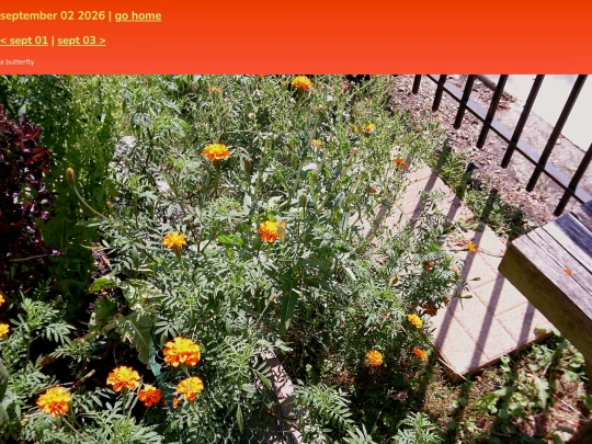 pics/sept26/02 screenshot