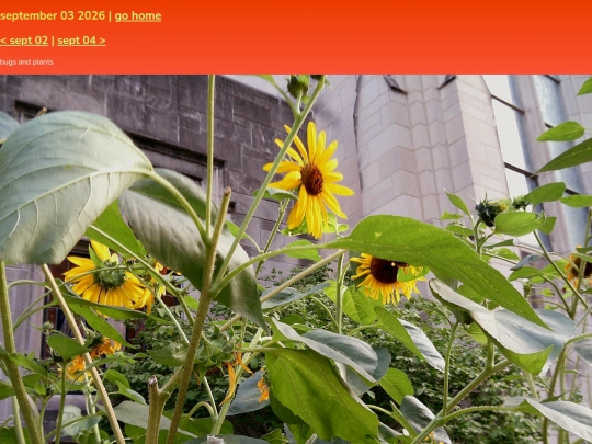 pics/sept26/03 screenshot