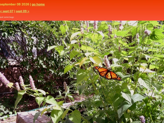 pics/sept26/08 screenshot