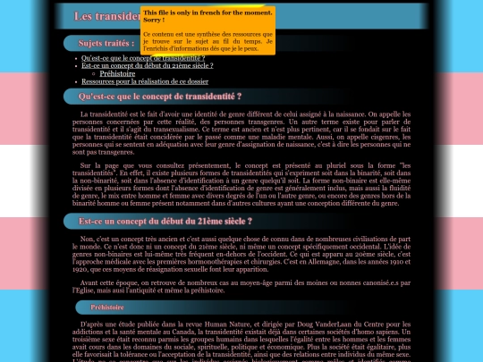 content/politics/transidentity/transidentities screenshot