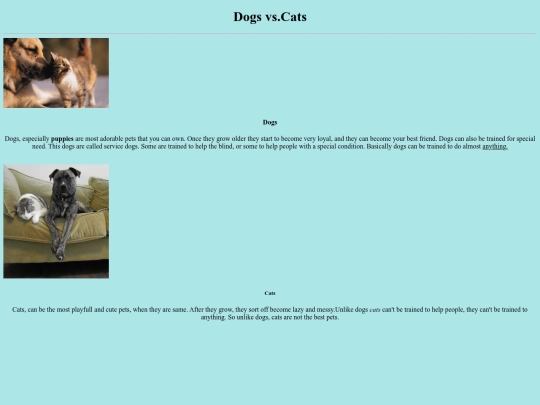 myfavoritepet screenshot