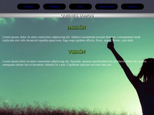 quienessomos screenshot
