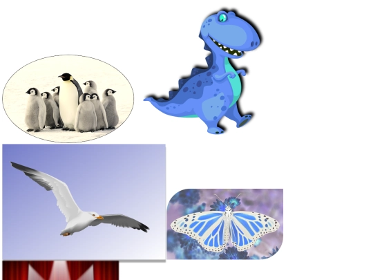 documents/imitationpoojav screenshot