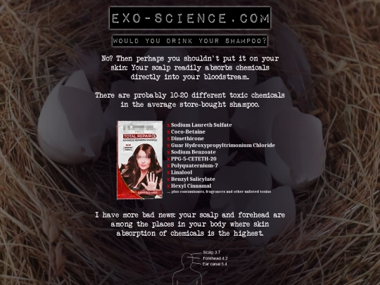 eggs screenshot