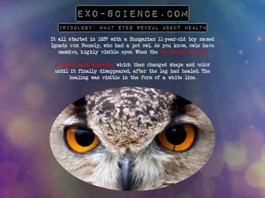 iridology screenshot