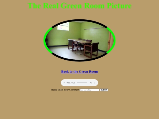 greenroonpic screenshot