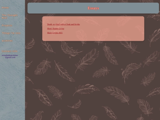 essays screenshot