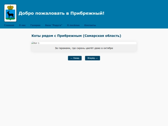 Prib/koshki screenshot