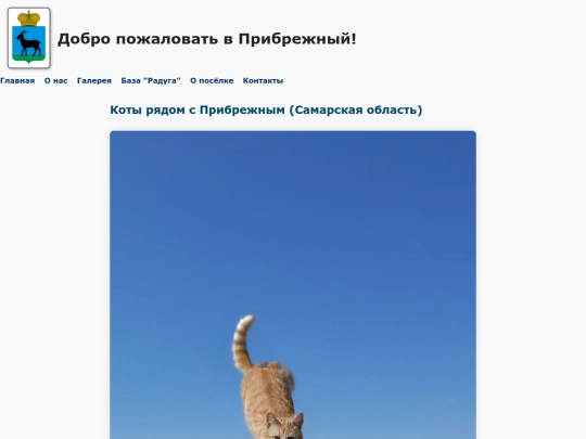 Prib/koshki2 screenshot