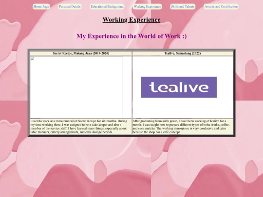 working experience screenshot