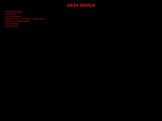2024goals screenshot