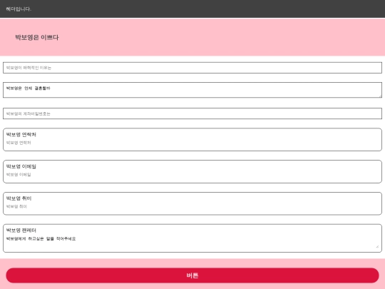 input screenshot