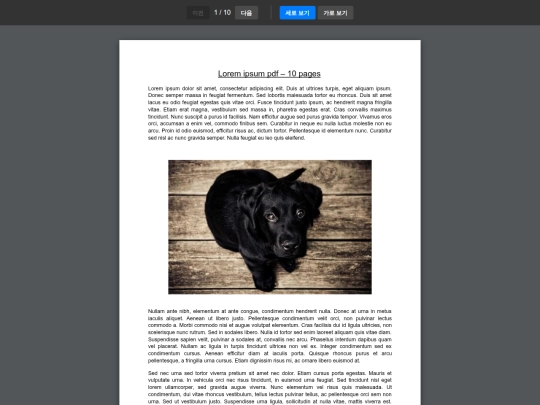 pdfViewer/pdfViewer screenshot