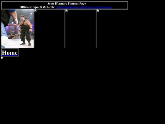 nwo/BulletClub/scott_damore_pictures_page screenshot