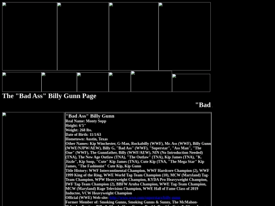 nwo/DX/Bad_Ass_Billy_Gunn_DX_Page screenshot
