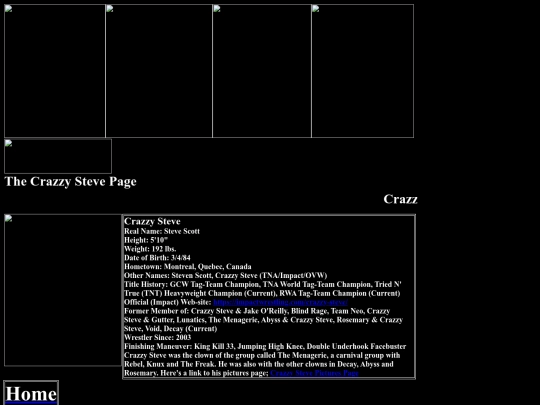 nwo/bwoothers/Crazzy_Steve_Decay_Page screenshot