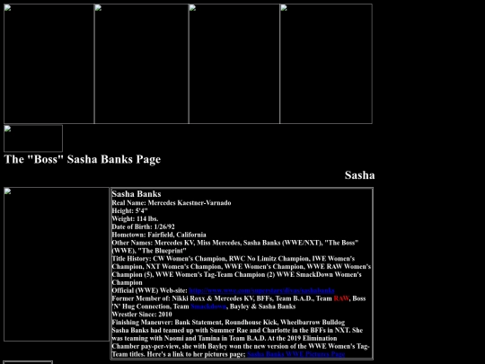 nwo/bwoothers/Sasha_Banks_Team_BAD_Page screenshot