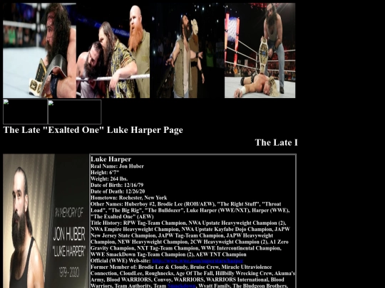 nwo/bwoothers/The_Late_Luke_Harper_Wyatt_Family_Page screenshot