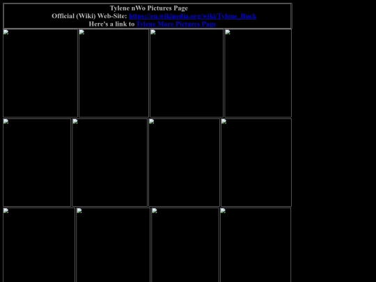 nwo/tylene_nWo_pictures_page screenshot