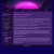 The web site of nicotineangel-777 avatar