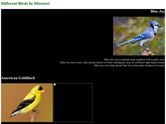 birds/birds screenshot