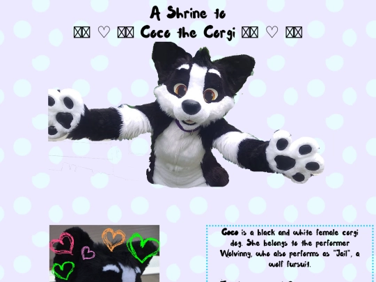 blog/coco/coco screenshot