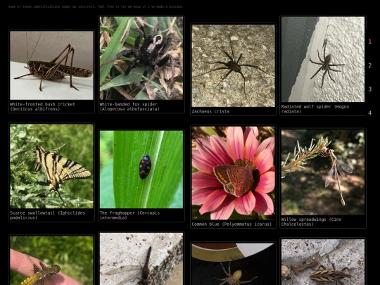 idphotos screenshot
