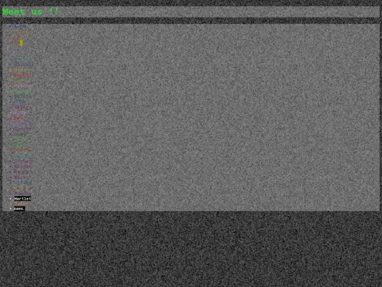meet_us screenshot