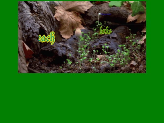 test screenshot