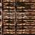 orangeshed.neocities.org avatar