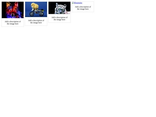 css screenshot