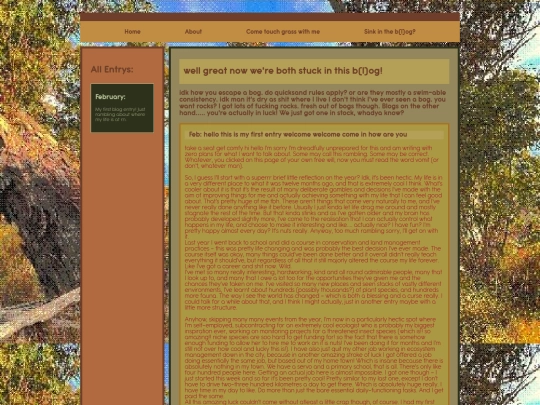 blog screenshot