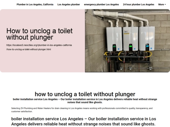 plumber-in-los-angeles-california/how-to-unclog-a-toilet-without-plunger screenshot