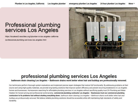 plumber-in-los-angeles-california/professional-plumbing-services-los-angeles screenshot