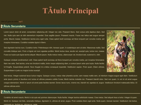Ejercicio 4B screenshot