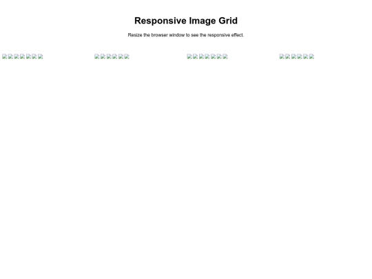 gallery screenshot