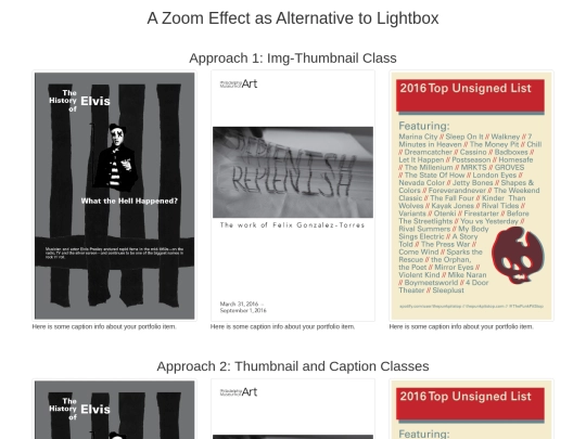 zoom screenshot