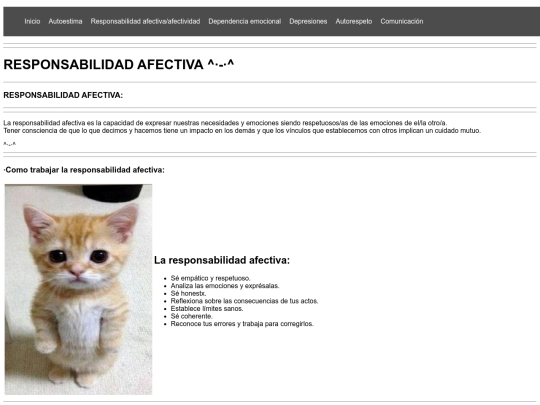 responsabilidadafectiva screenshot