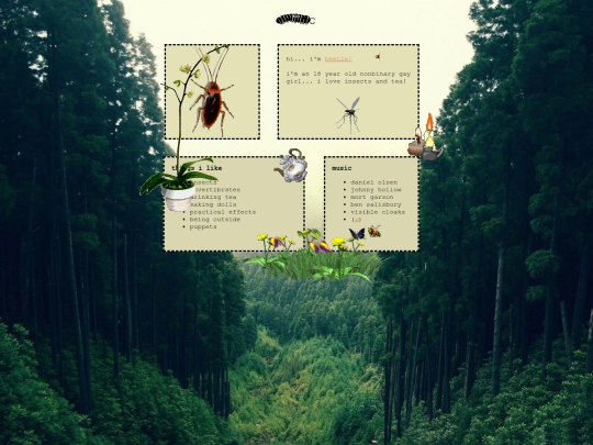 beetle screenshot