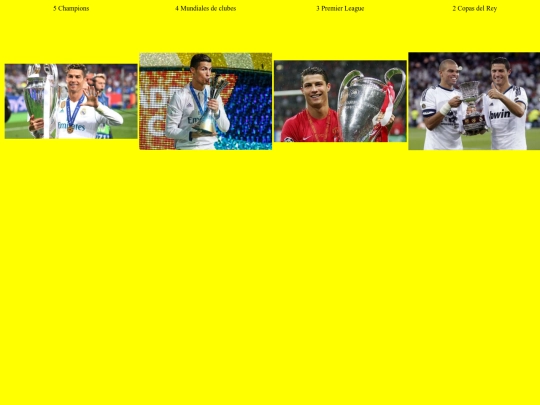 proyectofinal/individuales screenshot