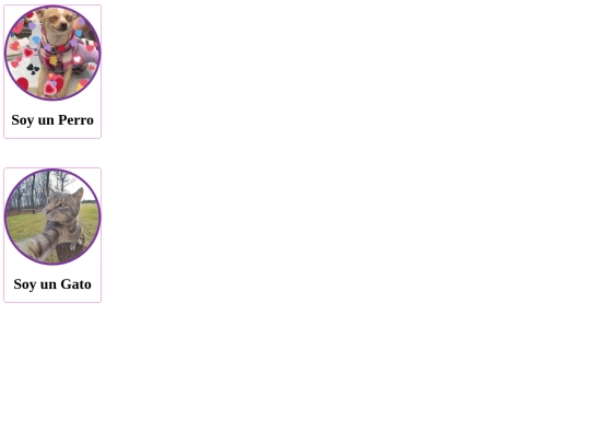 Actividad_3/PerroGato screenshot