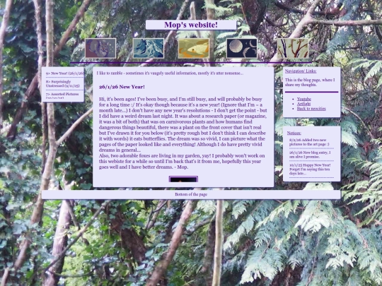 page screenshot