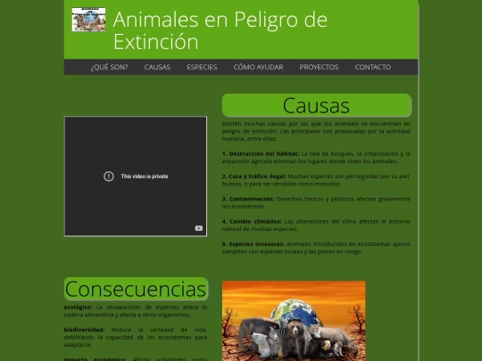 causas screenshot