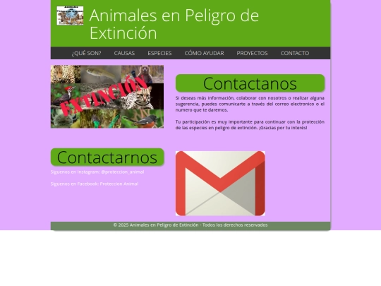 contacto screenshot