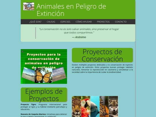 proyectos screenshot