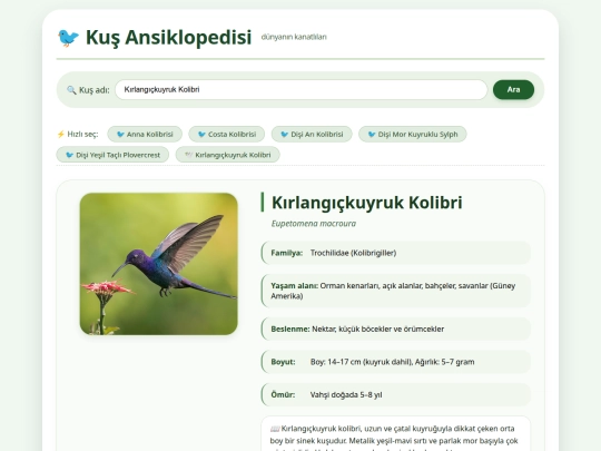 birds screenshot