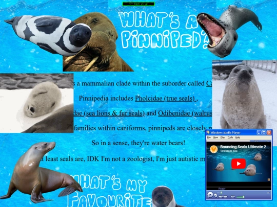 sealshrine screenshot