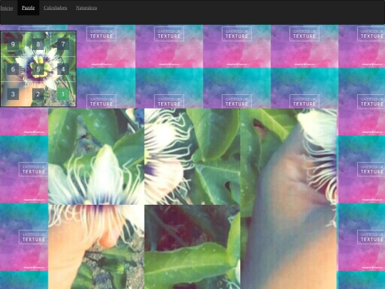 carrusel/puzzle screenshot