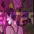 pansycorezine.neocities.org avatar