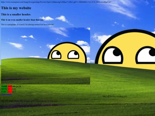 MY WEBSITE screenshot